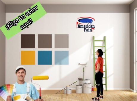american_paint_mx_igualado de color